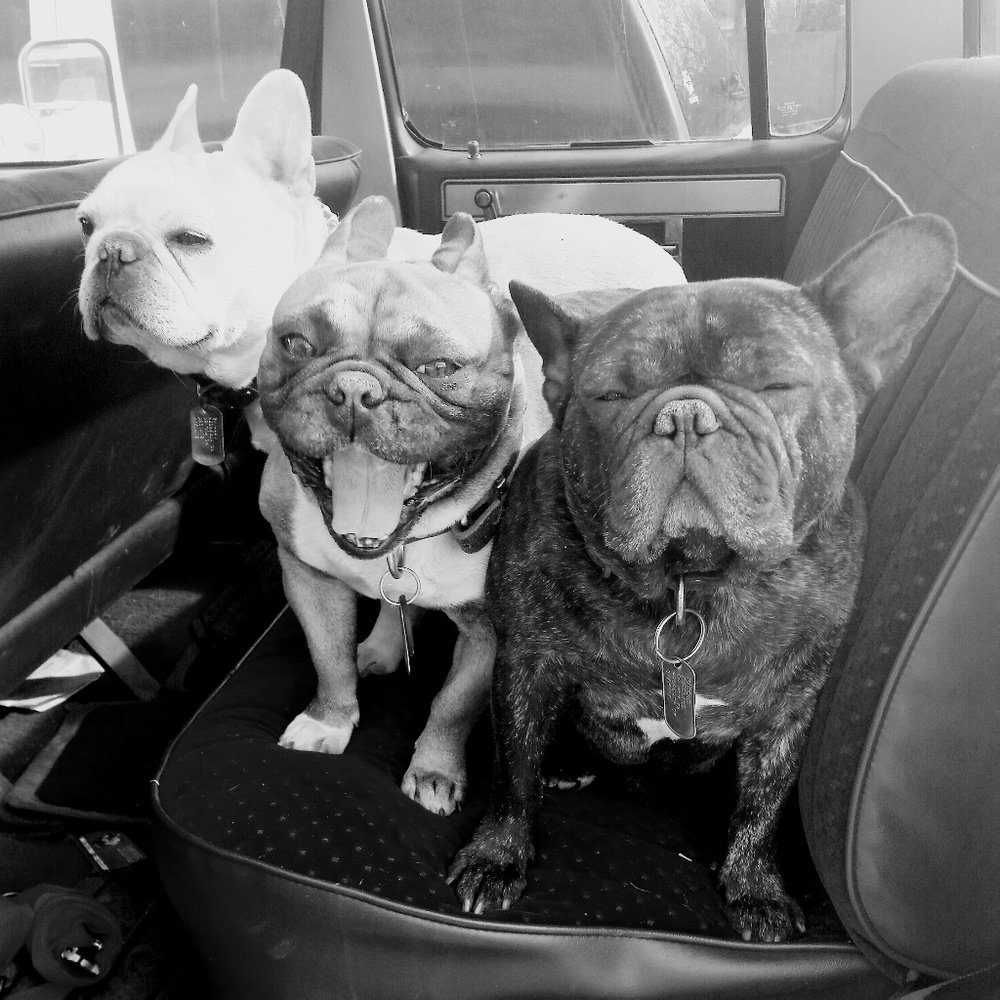 Meet your Posher, Shawnna - Picture 6 of 16